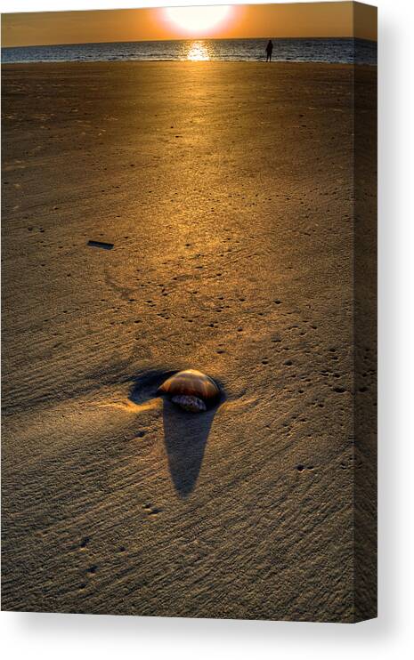 Jekyll Island Canvas Print featuring the photograph Jelly on Jekyll Island by Greg and Chrystal Mimbs