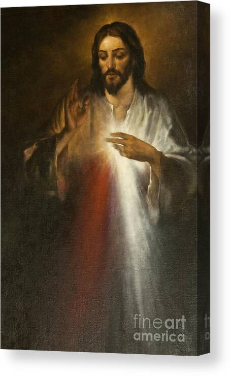 Jesus Canvas Print featuring the painting Jesus of Divine Mercy by Dan Radi