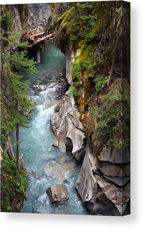 Banff Canvas Print featuring the photograph Johnston Canyon by Yue Wang