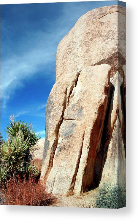 Joshua Tree Canvas Print featuring the photograph ROCK THE PARK Joshua Tree National Park by William Dey