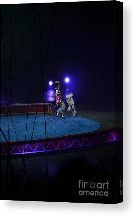 Circus Canvas Print featuring the photograph Jumprope with Fido by Robert Meanor