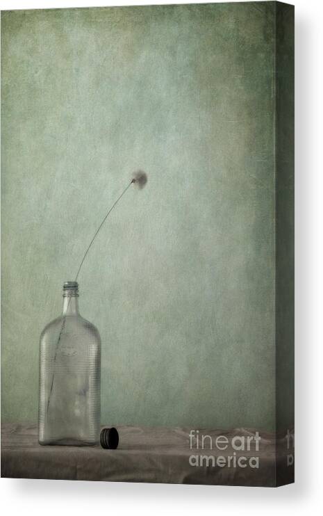 Bottle Old Canvas Print featuring the photograph Just An Old Bottle And Its Cap by Priska Wettstein