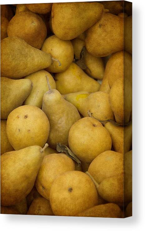 Pears Canvas Print featuring the photograph Just Pears by Rebecca Cozart
