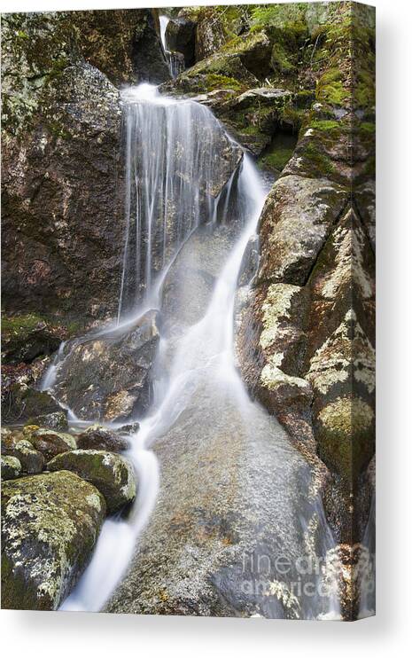 Brook Canvas Print featuring the photograph Kinsman Notch - Woodstock New Hampshire USA by Erin Paul Donovan