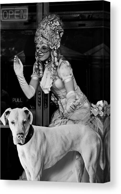 Portrait Canvas Print featuring the photograph Lady And The Tramp by Larry Butterworth