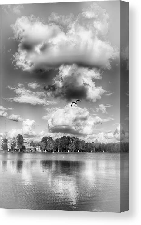 Nature Canvas Print featuring the photograph Lake De Soto by Howard Salmon