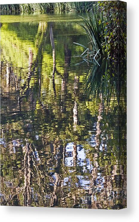 Kate Brown Canvas Print featuring the photograph Lakeshore Reflections by Kate Brown