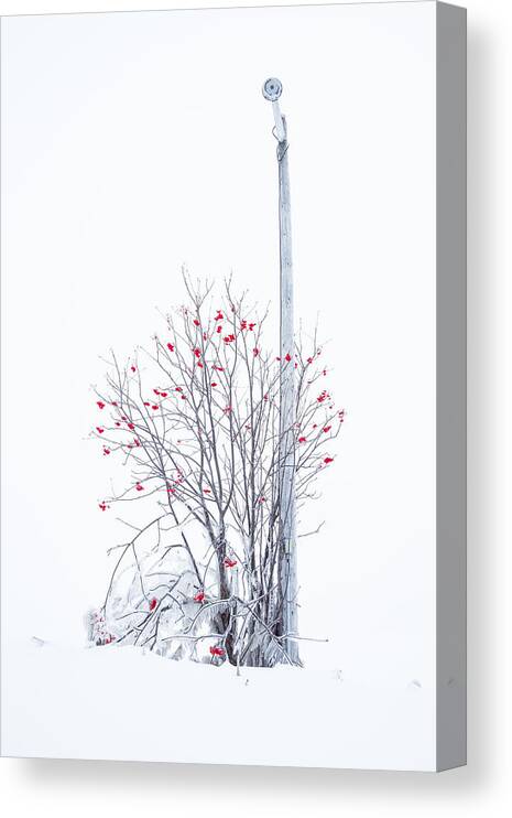 Abandoned Canvas Print featuring the photograph Lamp Post by Jakub Sisak