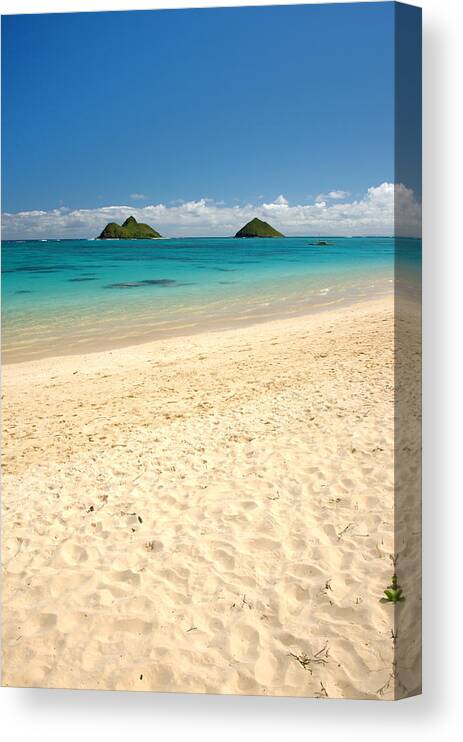 Lanikai Kailua Oahu Hawaii Beach Park Seascape Canvas Print featuring the photograph Lanikai Beach 2 - Oahu Hawaii by Brian Harig