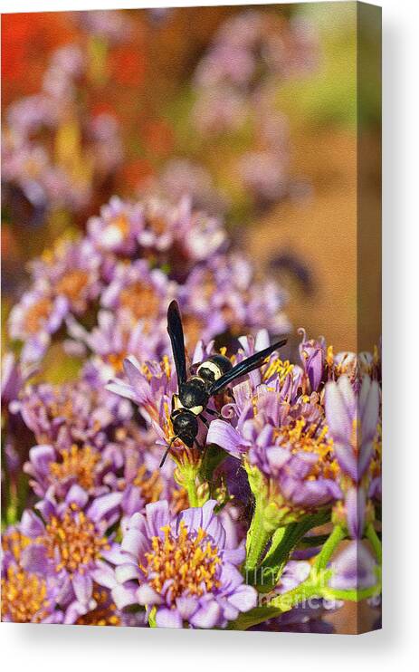Paper Wasp Canvas Print featuring the digital art Last Meal for Paper Wasp before Winter by Eva Kaufman