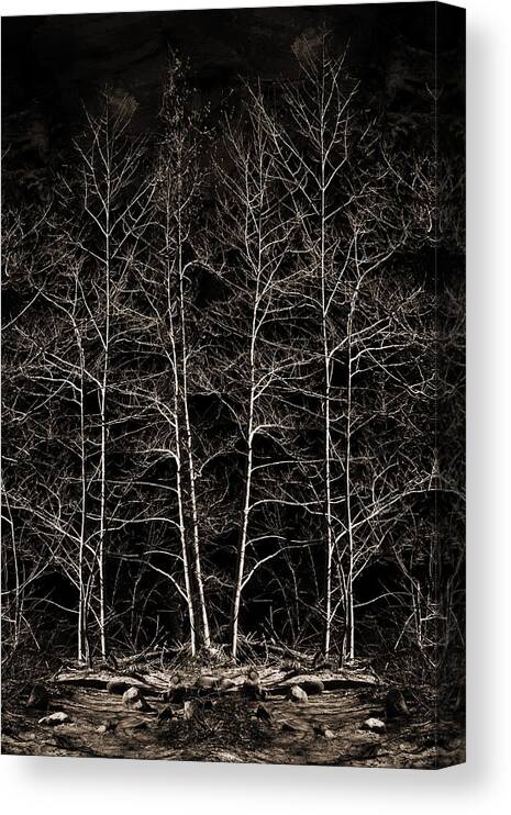 Trees Canvas Print featuring the photograph Last Stand by Bob Coates