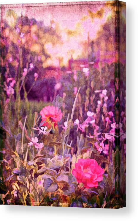 Last Year's Garden Canvas Print featuring the photograph Last Year's Garden by Pamela Cooper