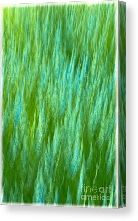 Abstract Canvas Print featuring the photograph Lavender in Abstract by Jonathan Nguyen