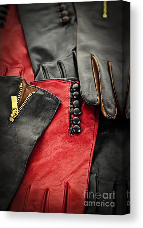Gloves Canvas Print featuring the photograph Leather gloves by Elena Elisseeva