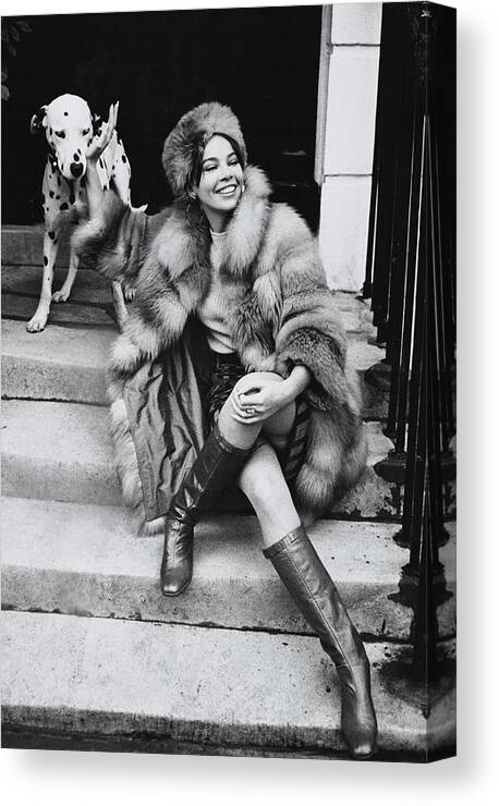 Actress Canvas Print featuring the photograph Leslie Caron Wearing A Fox Coat by Henry Clarke