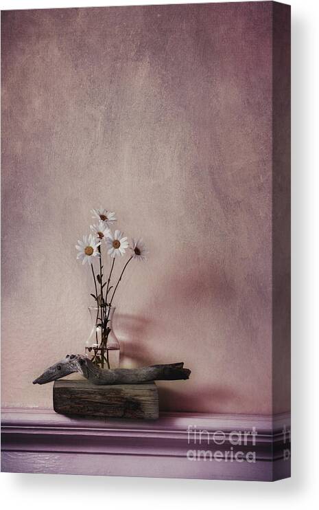 Wildflower Canvas Print featuring the photograph Life Gives You Daisies by Priska Wettstein