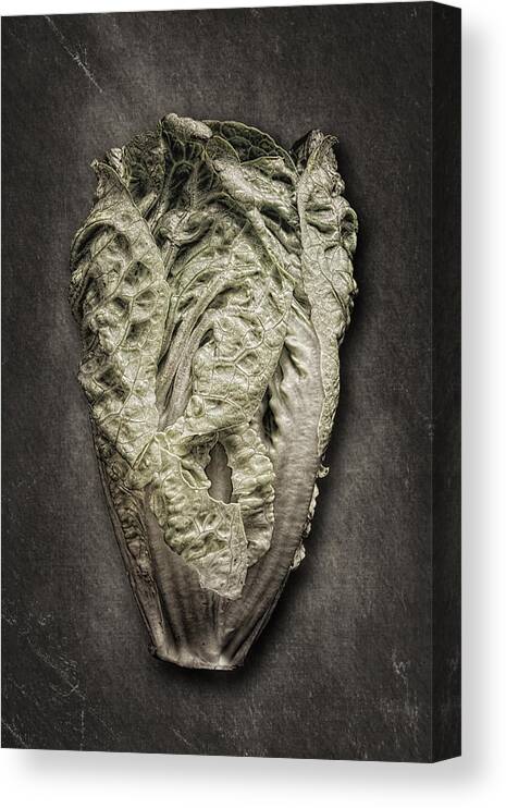 Art Canvas Print featuring the photograph Little Gem Lettuce by Tom Mc Nemar