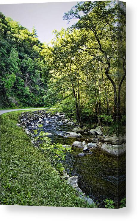 little River Canvas Print featuring the photograph Little River Road by Cricket Hackmann