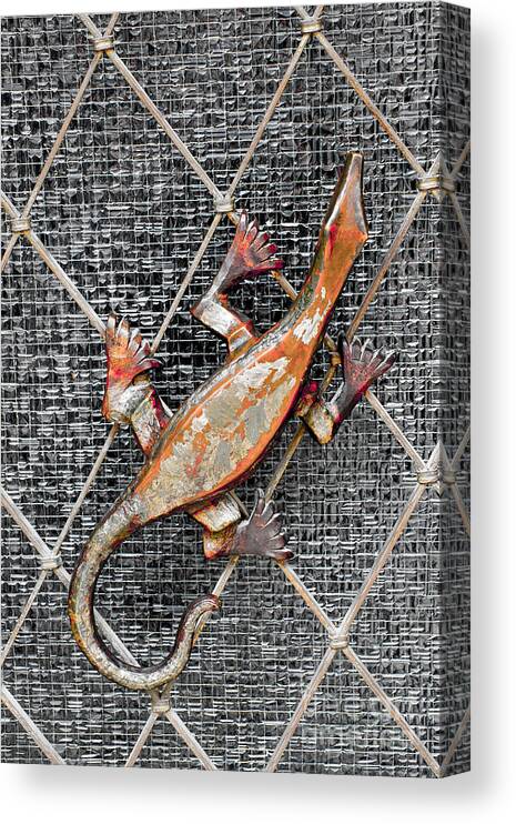 Lizard Canvas Print featuring the photograph Lizard and Glass Door Ornament - Bavaria by Gary Whitton