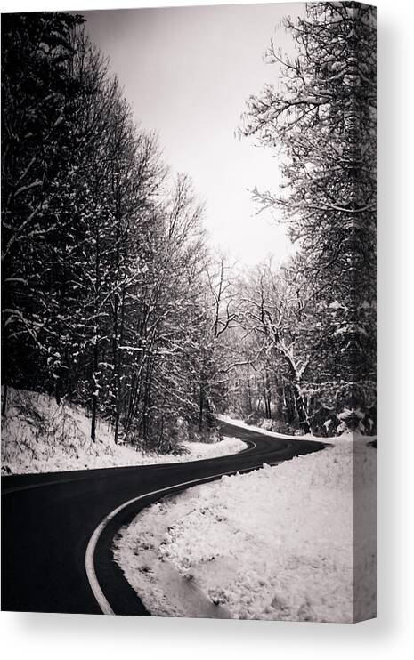Winter Canvas Print featuring the photograph Long Journey Ahead by Sara Frank