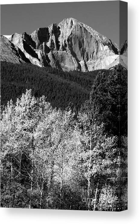 Longs Peak Canvas Print featuring the photograph Longs Peak 14256 Ft by James BO Insogna