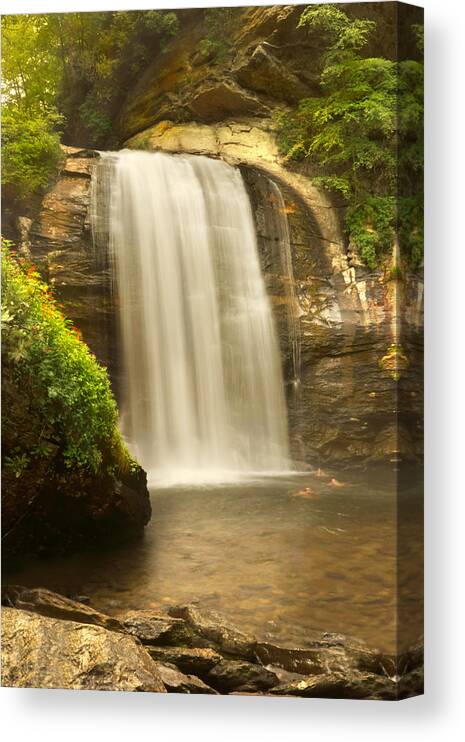 Looking Glass Falls Canvas Print featuring the photograph Looking Glass Falls 2 - North Carolina by Mike McGlothlen