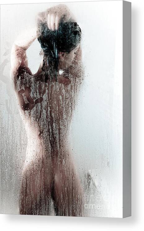 Ass Canvas Print featuring the photograph Looking Through the Glass by Jt PhotoDesign