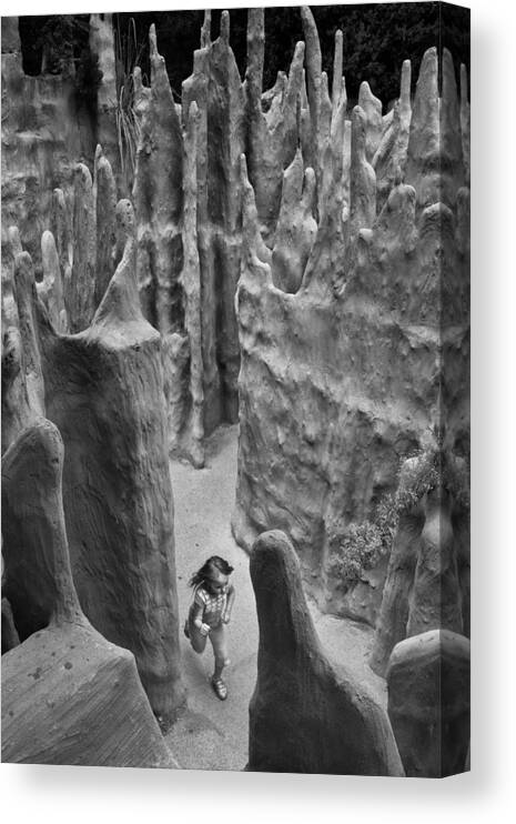 Fantasy Canvas Print featuring the photograph Lost in a Black and White Dream by Mary Lee Dereske