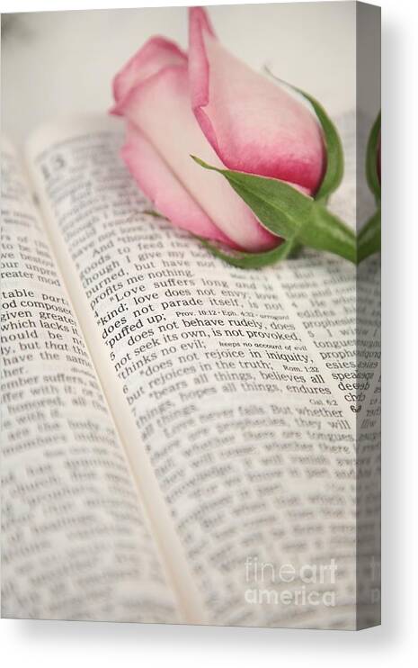 Religion Canvas Print featuring the photograph Love Scripture by Pattie Calfy