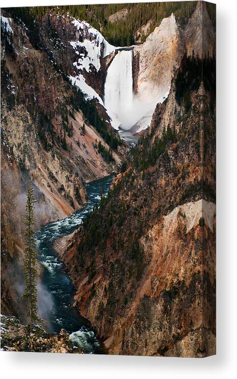 Yellowstone Canvas Print featuring the photograph Lower Falls by Glenn Fillmore