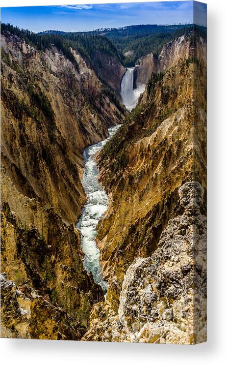 Lower Falls Of Grand Canyon Of Yellowstone Canvas Print featuring the photograph Lower Falls of Grand Canyon of Yellowstone by Debra Martz