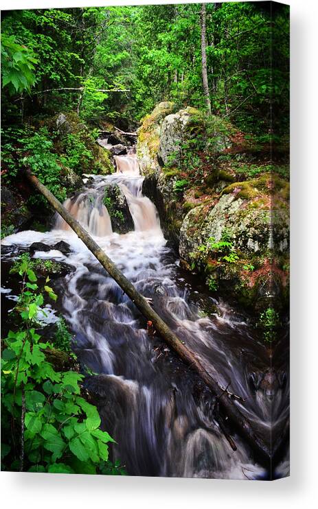 Waterfall Canvas Print featuring the photograph Lwv60008 by Lee Winter