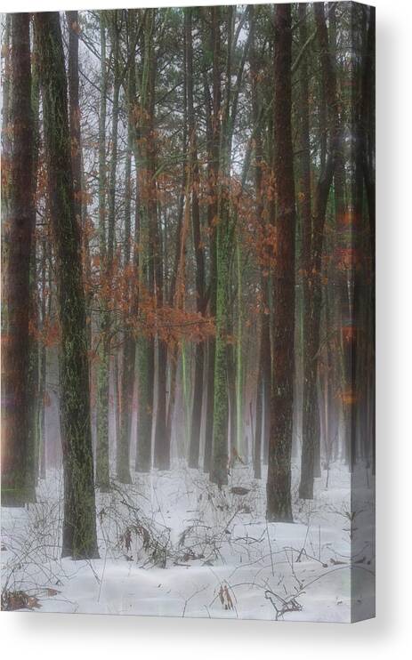 Fog Canvas Print featuring the photograph Magic in the Fog 1 by Beth Sawickie