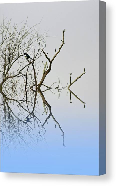 Reflected Trees Canvas Print featuring the photograph Magpie by Sharon Lisa Clarke