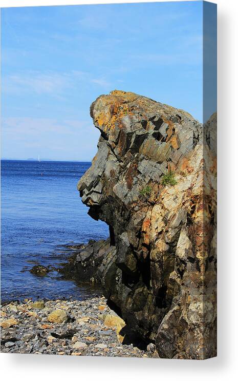 Nature Canvas Print featuring the photograph Majestic by Becca Wilcox