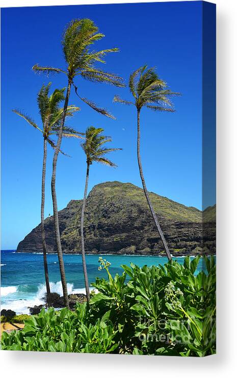 Makapuu Point Canvas Print featuring the photograph Makapu'u Point Lighthouse Under the MId Day Moon by Aloha Art
