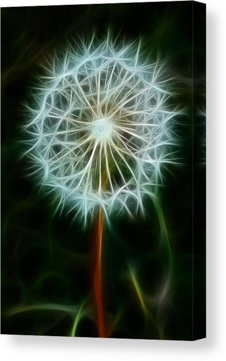 Dandelion Seeds Canvas Print featuring the photograph Make A Wish by Joann Copeland-Paul