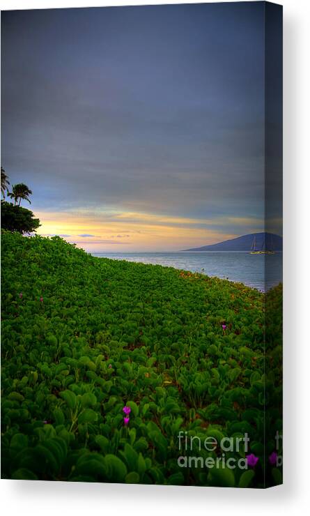 Maui Morning Canvas Print featuring the photograph Maui Morning by Kelly Wade