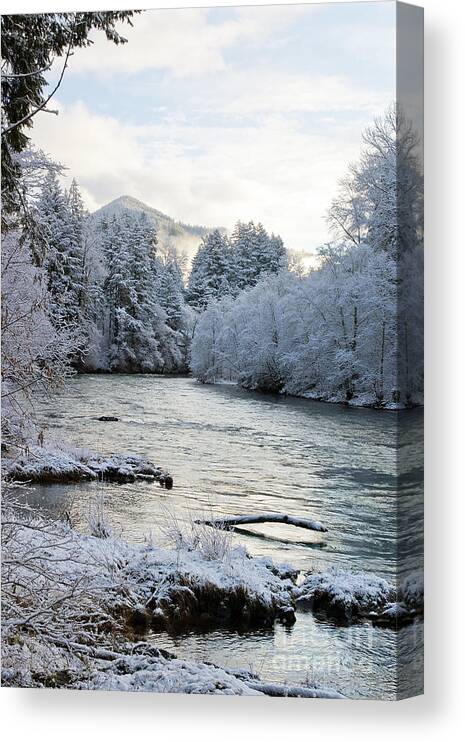 River Canvas Print featuring the photograph McKenzie River by Belinda Greb