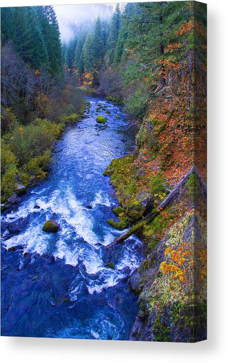 Aufderheide Scenic Byway Canvas Print featuring the photograph McKenzie river in autumn by Kunal Mehra