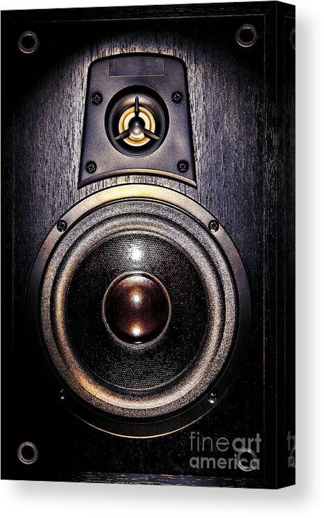 Speaker Canvas Print featuring the photograph Mean Speaker by Olivier Le Queinec