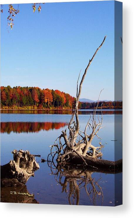River Canvas Print featuring the photograph Mighty Missisquoi II by R B Harper