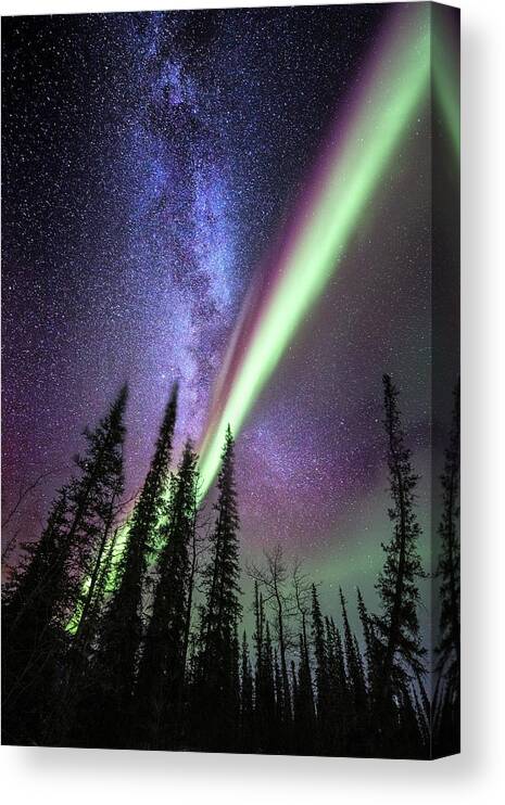 Alaska Canvas Print featuring the photograph Milky Way And The Aurora Borealis by Chris Madeley