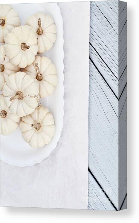 White Canvas Print featuring the photograph Mini White Pumpkins by Stephanie Frey