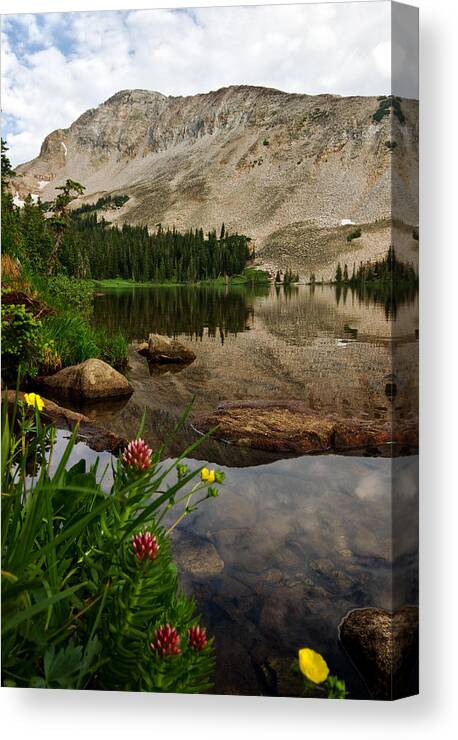 Landscapes Canvas Print featuring the photograph Mitchell Lake Reflections by Ronda Kimbrow