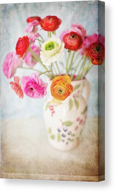 Vase Canvas Print featuring the photograph Mixed Ranunculus In Vase by Susangaryphotography