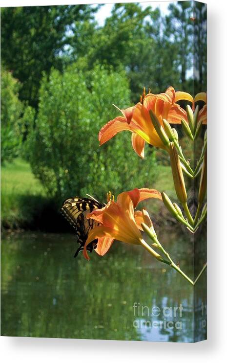 Floral Canvas Print featuring the photograph Monarch by Bob Sample