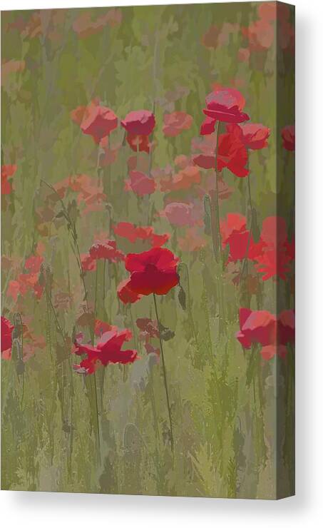 Abstract Canvas Print featuring the photograph Monet Poppies by David Letts