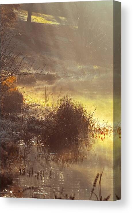 Landscape Canvas Print featuring the photograph Morning Misty Rays by Julie Palencia