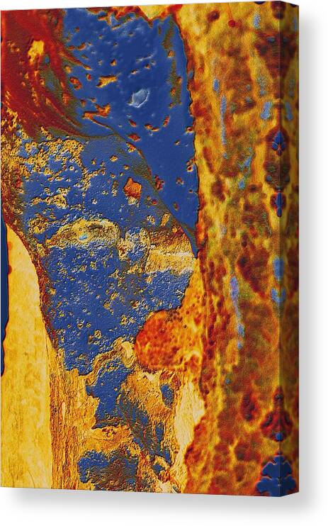 Abstract Canvas Print featuring the photograph Mortal Bleu Flambe by Laureen Murtha Menzl